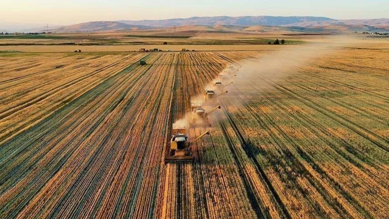 FAO: Küresel Gıda Fiyatlarında Gerileme Ocak’ta da Sürdü