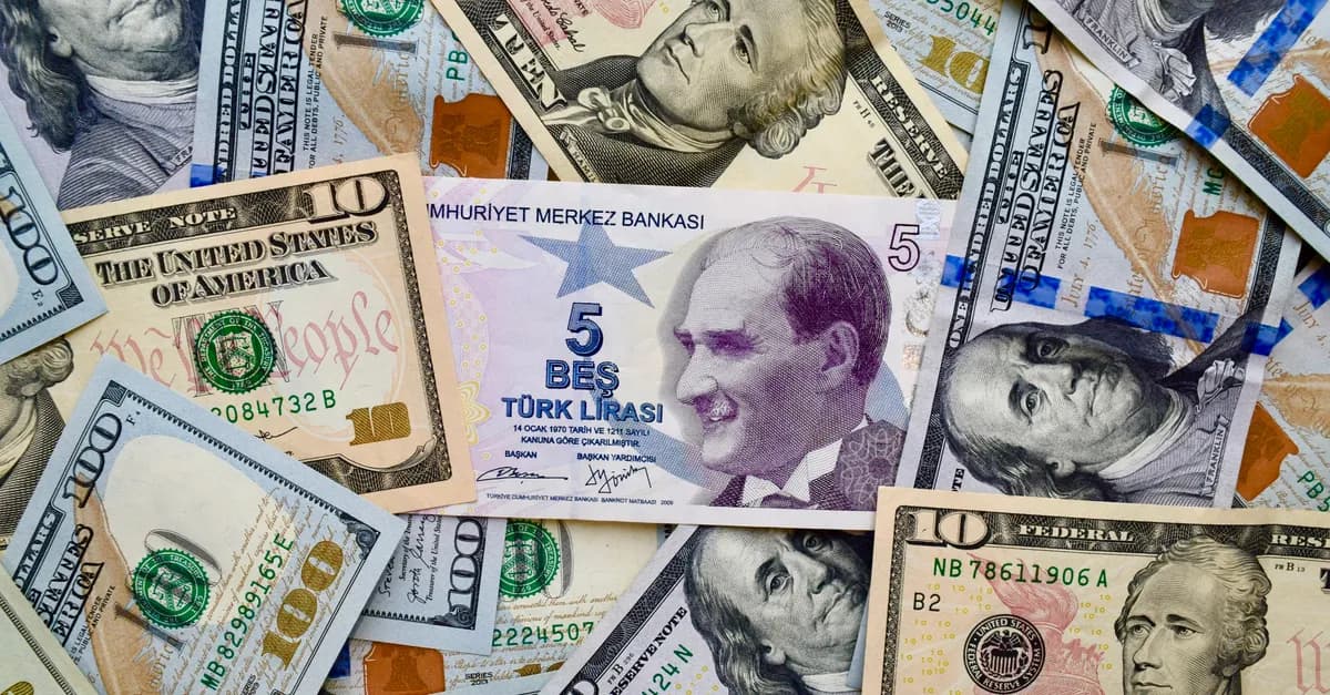 Dövizde Yeni Senaryo: Barclays’e Göre USD/TRY Yıl Sonunda 50 Seviyesine Yaklaşacak