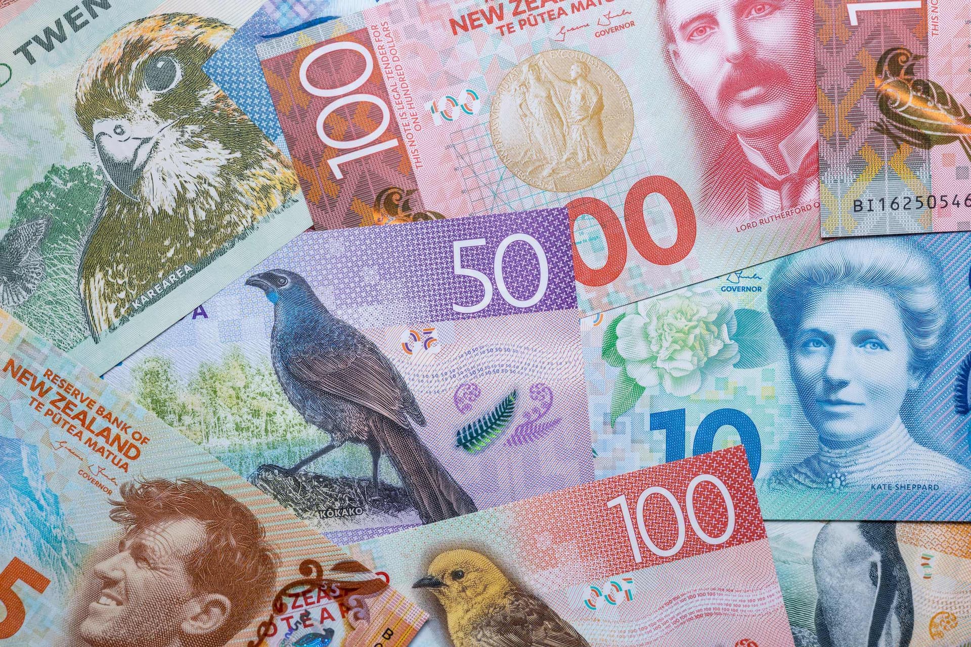 Küresel Faiz Artışları ve RBNZ’nin Temkinli Duruşu NZD’de Değer Kaybını Derinleştiriyor