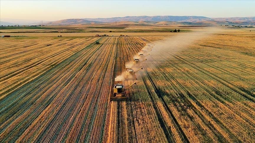 Tarım Bakanlığı Çiftçilere İlk Çeyrekte 35,6 Milyar Lira Destek Ödemesi Gerçekleştirdi