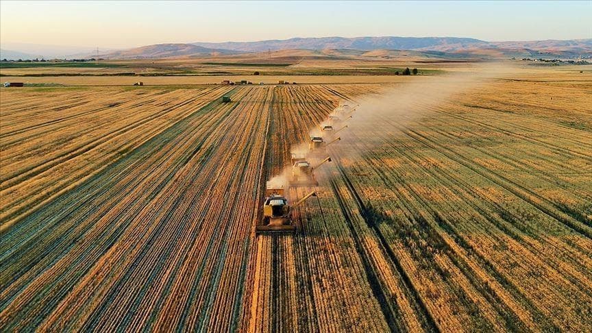 Tarımsal Destekleme Ödemeleri Çiftçilerin Hesaplarına 6 Milyar 468 Milyon Lira Olarak Aktarılıyor