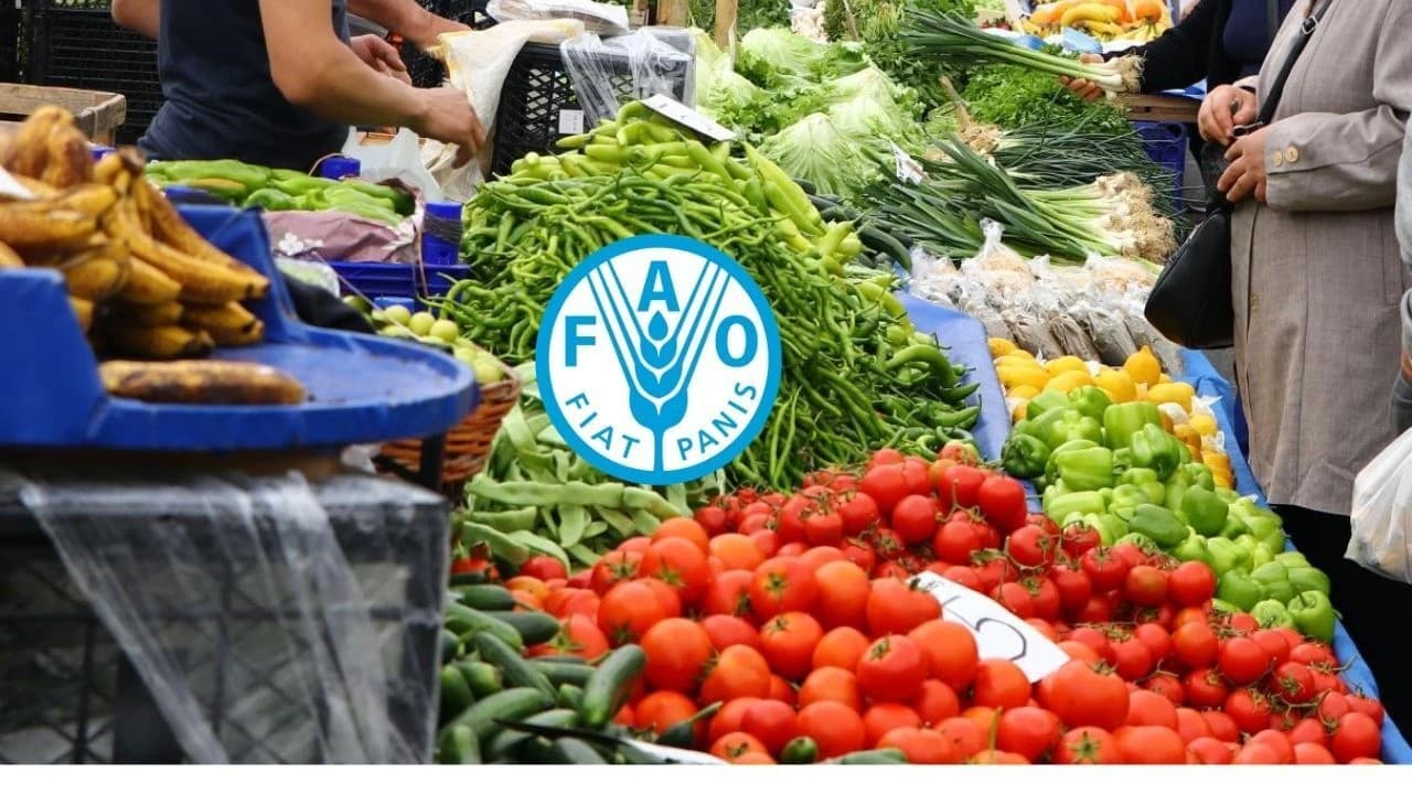 FAO Gıda Fiyat Endeksi Mayıs'ta 130,8 Puana Gerilerken Yıllık Bazda Yüzde 2,9 Yükseldi