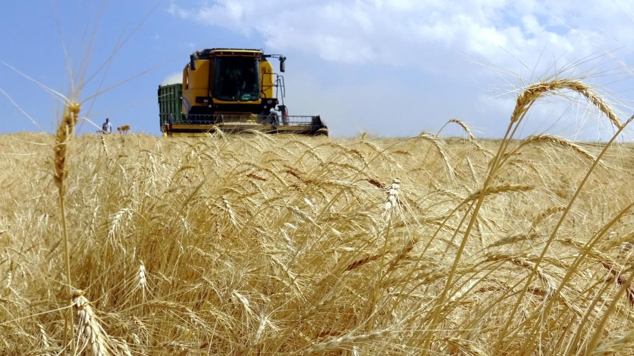 Yaklaşık 5,5 milyar lira tutarındaki tarımsal destekleme ödemeleri gerçekleştirilecek