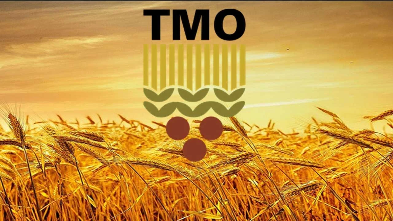 TMO Çiftçilere Hububat Ödemelerini 3-6 Hafta Arasında Tamamlamayı Hedefliyor